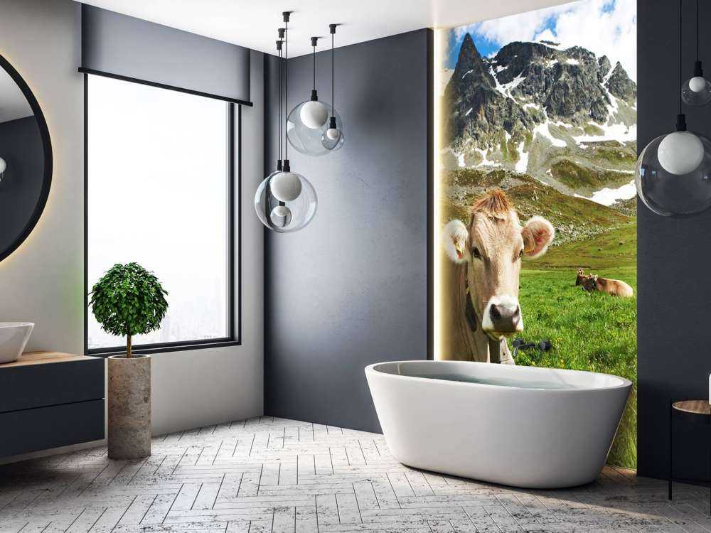 Vaca austriaca