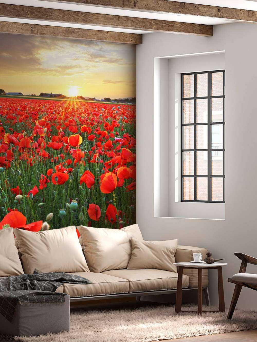 Amapolas con el sol poniente