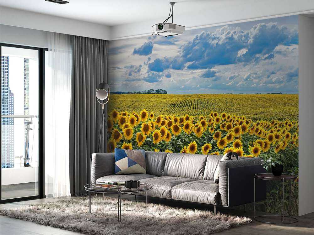 Pradera llena de girasoles