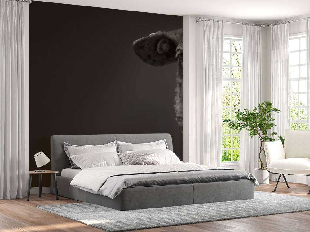 Primer plano de ovejas en blanco y negro