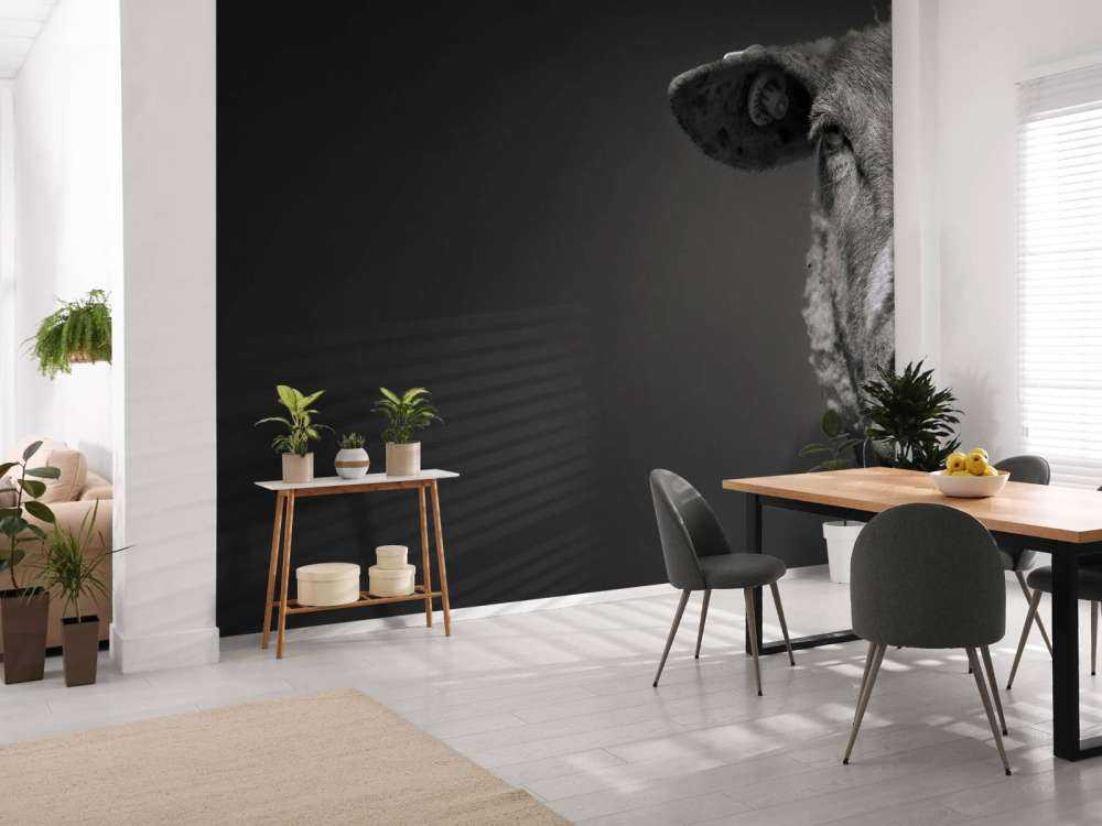 Primer plano de ovejas en blanco y negro