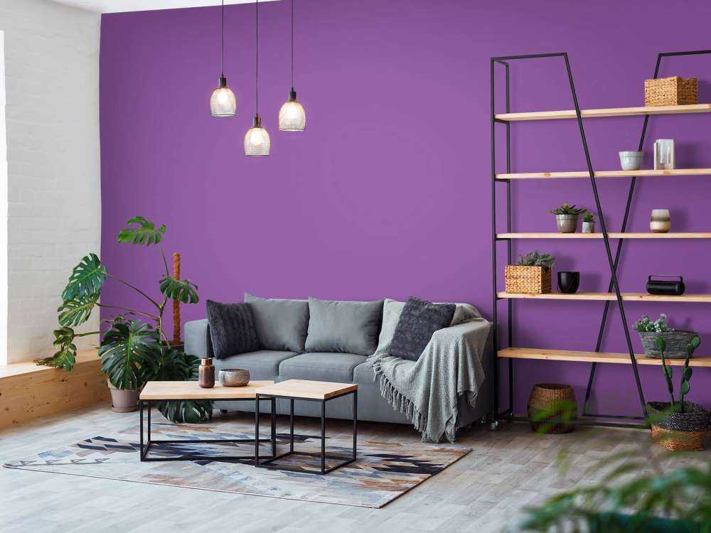 Morado máximo