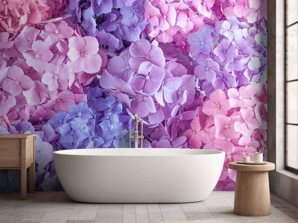 Hortensias de colores