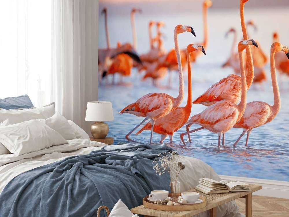 Flamencos que miran fijamente