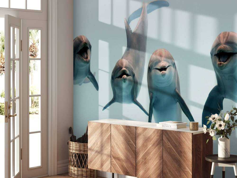 Delfines que ríen