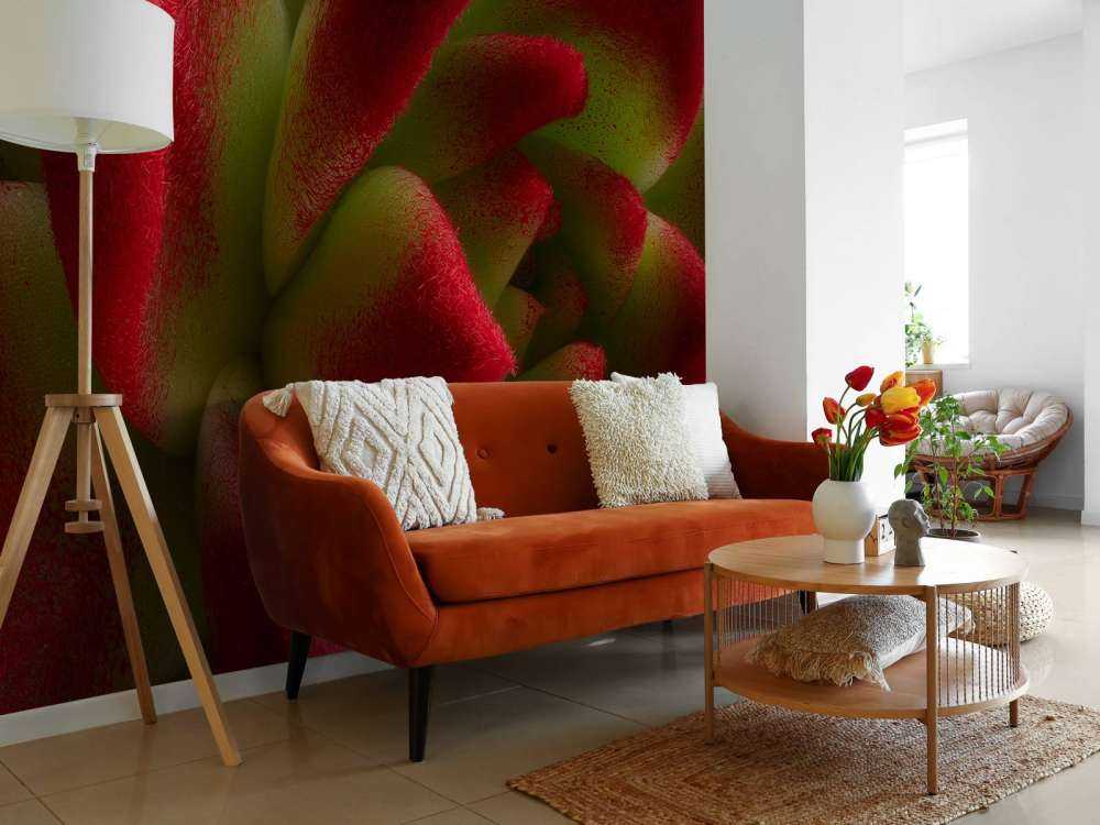Cactus rojo