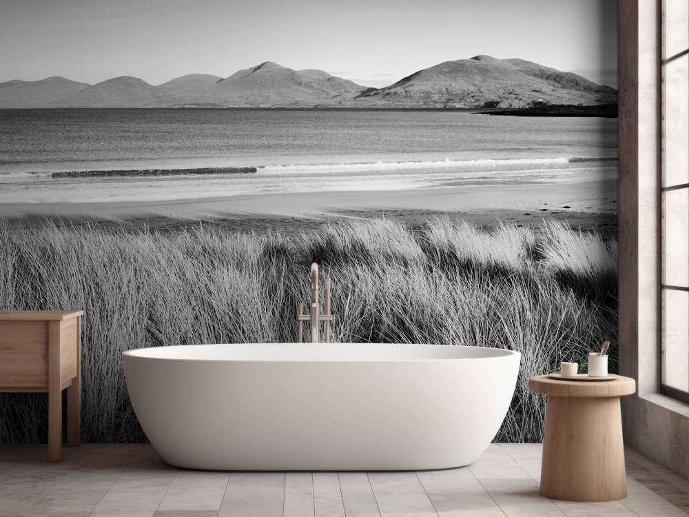 Marram grass, playa y montaña