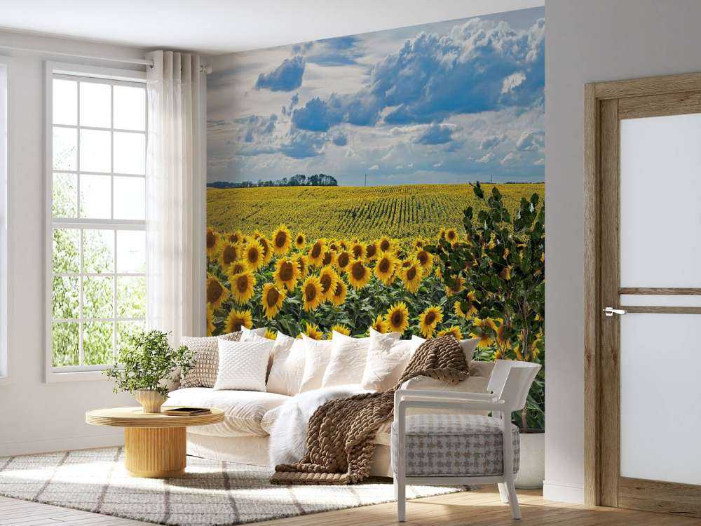 Pradera llena de girasoles