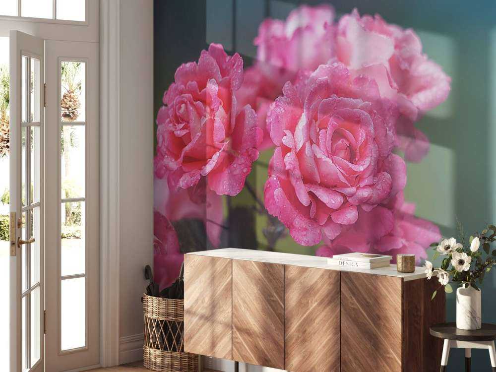 Rama de rosa rosa