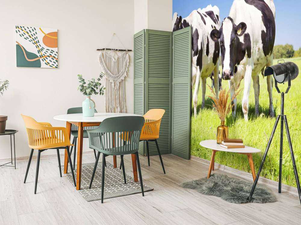 Foto empapelado vacas