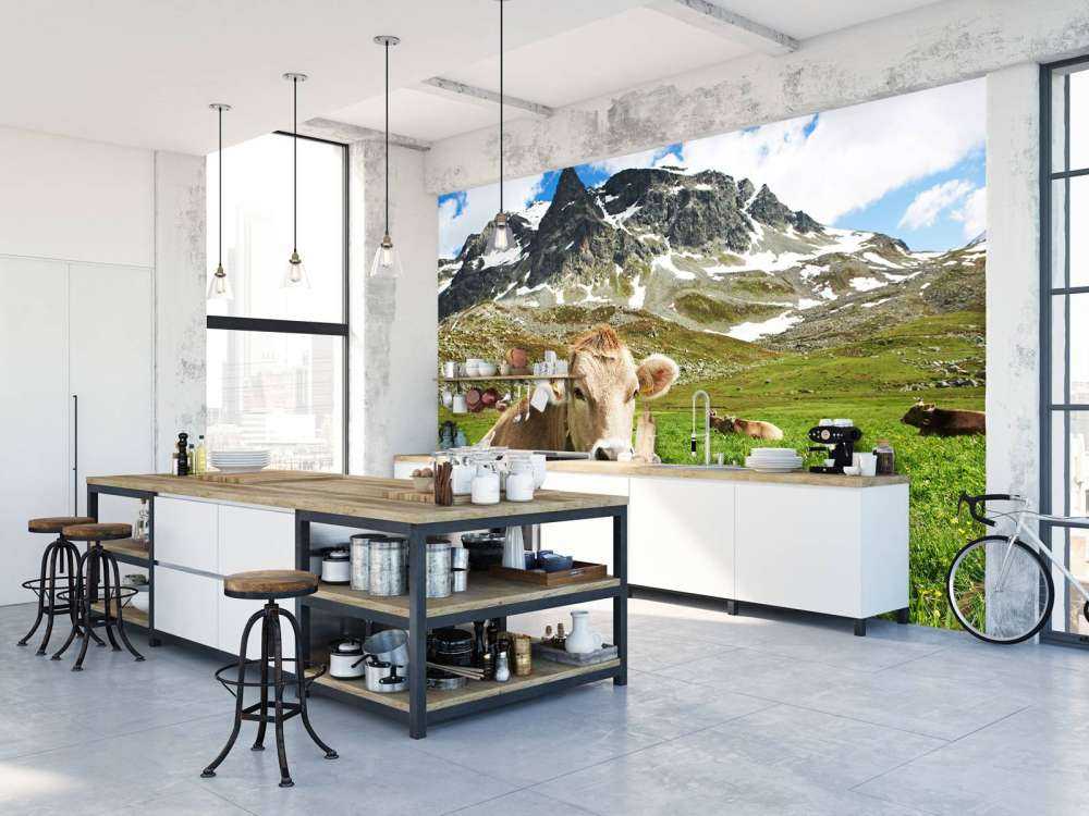 Vaca austriaca
