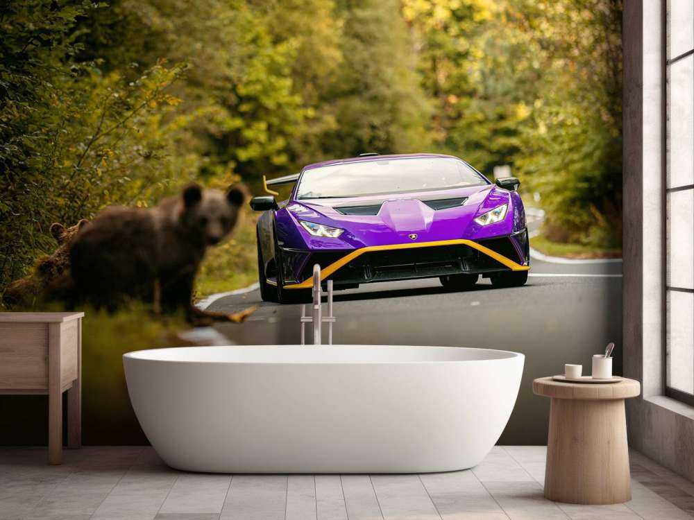 Lamborghini vs. naturaleza