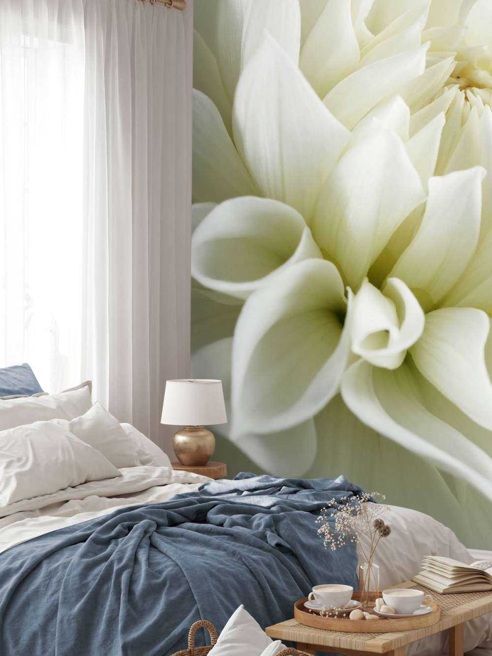 Flor blanca