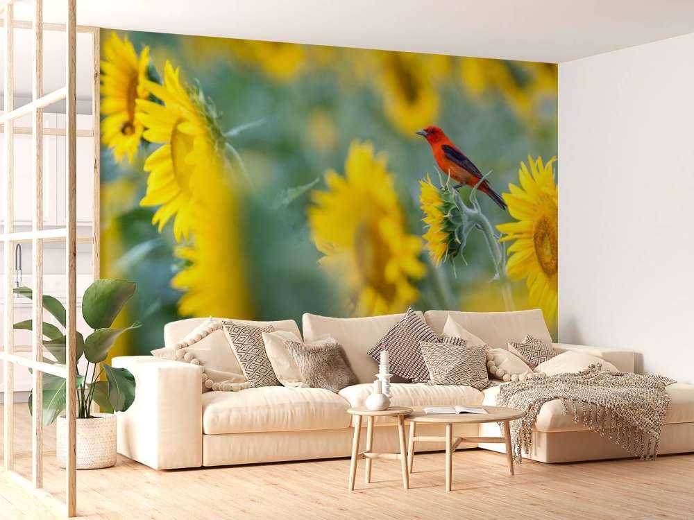 Campo de girasoles con pájaro rojo