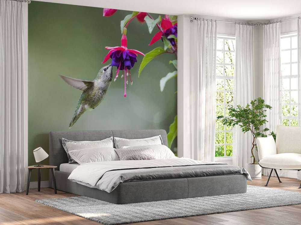 Bebida de colibrí