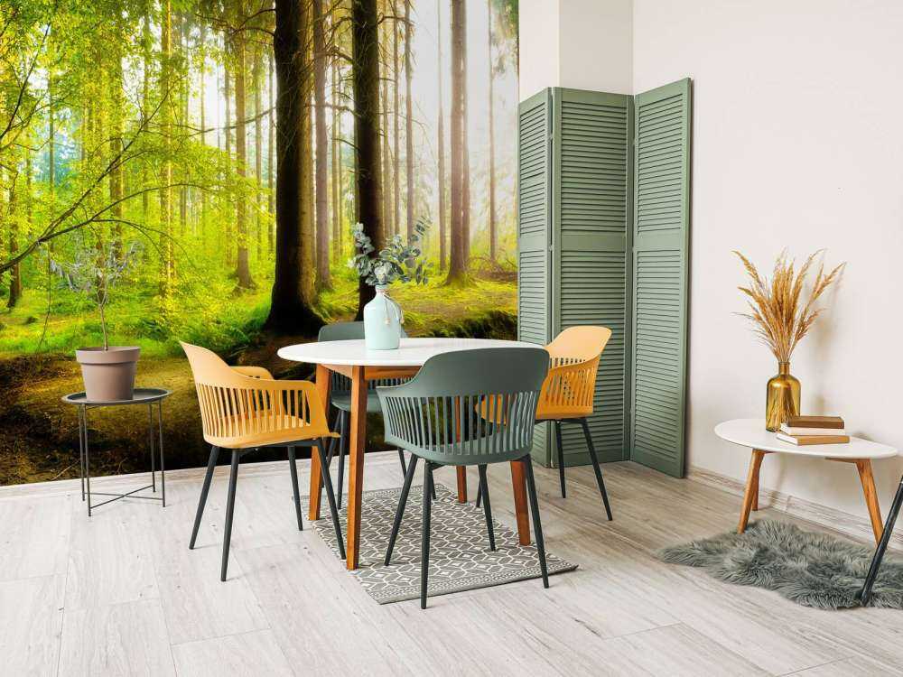 Bosque verde y fresco