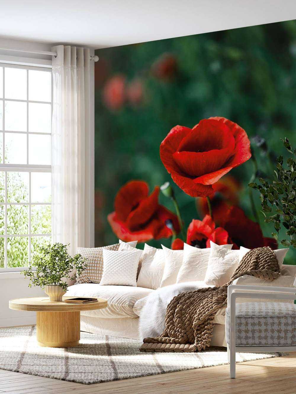 Amapolas y hierba