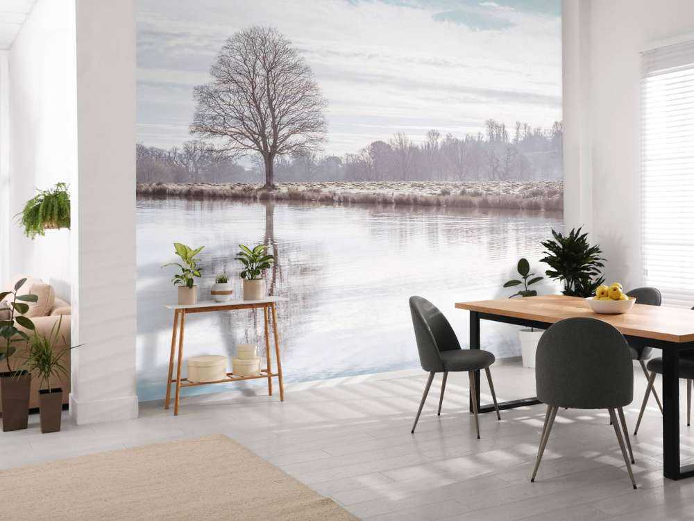 Lago de invierno