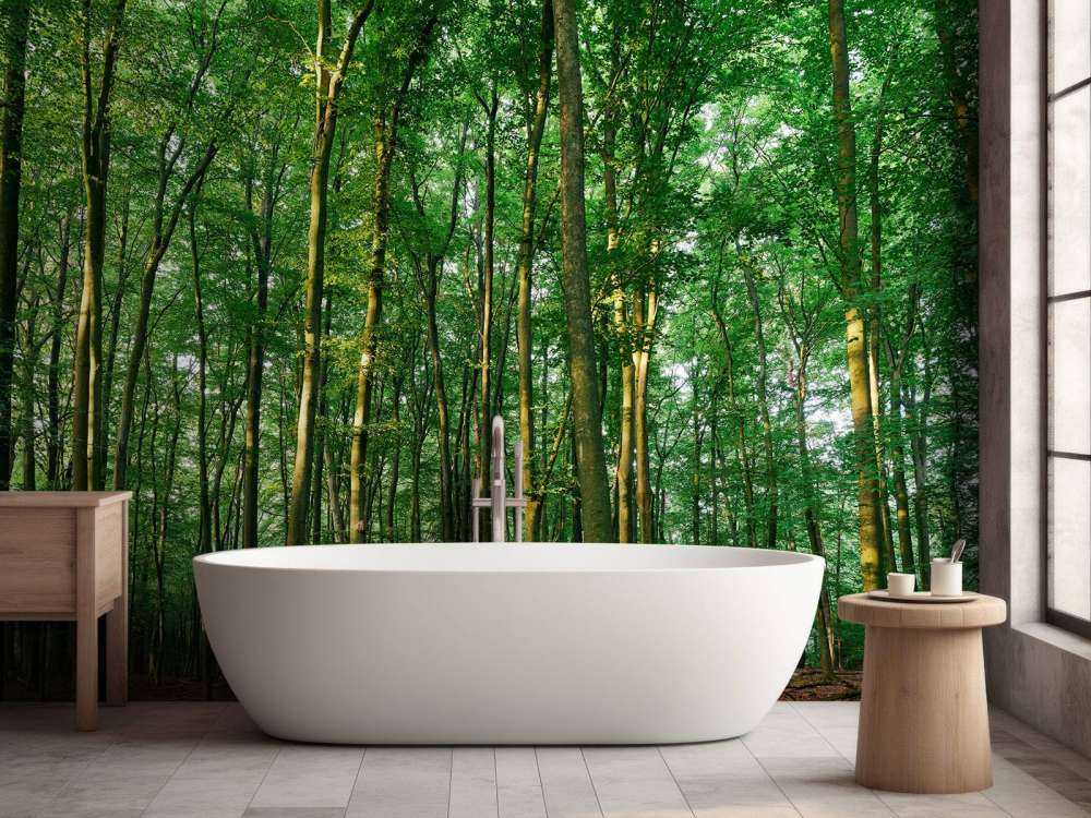 Bosque verde