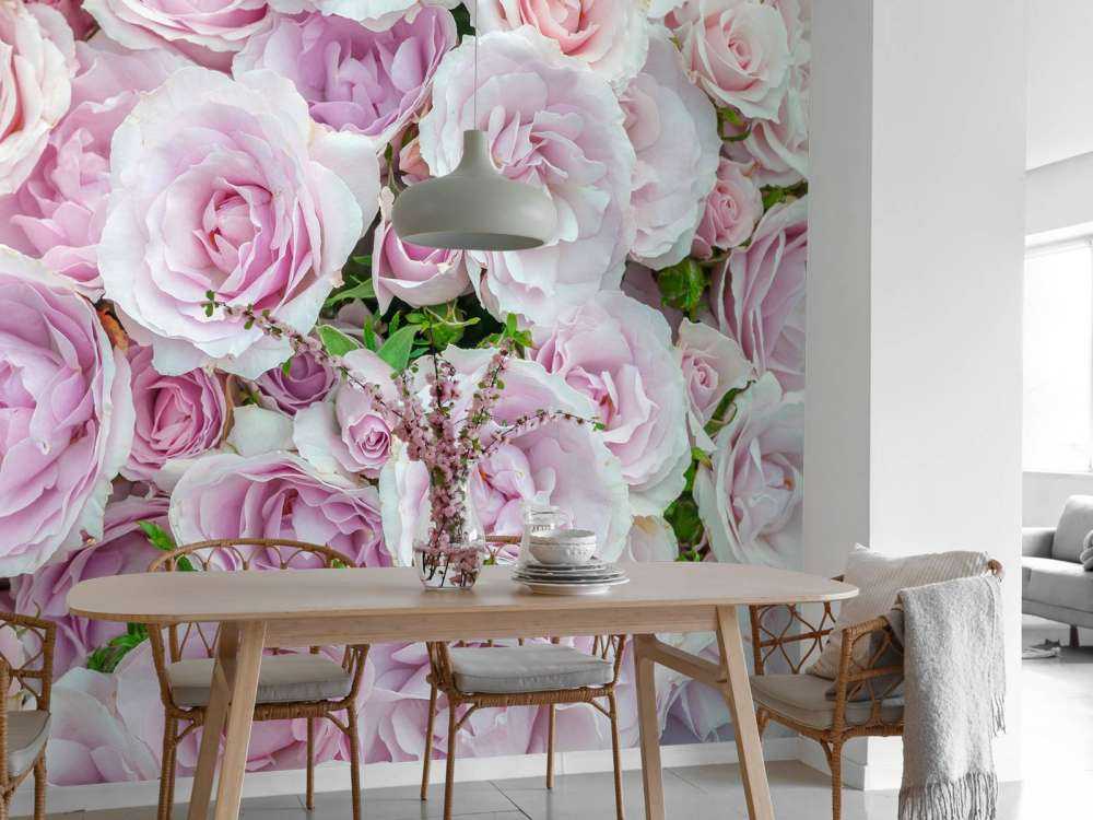 Coloridas rosas blancas y rosas
