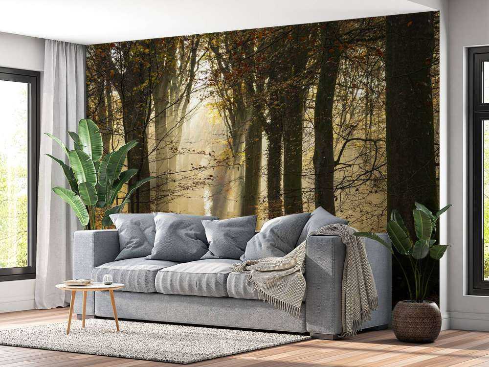 El bosque de Crécy