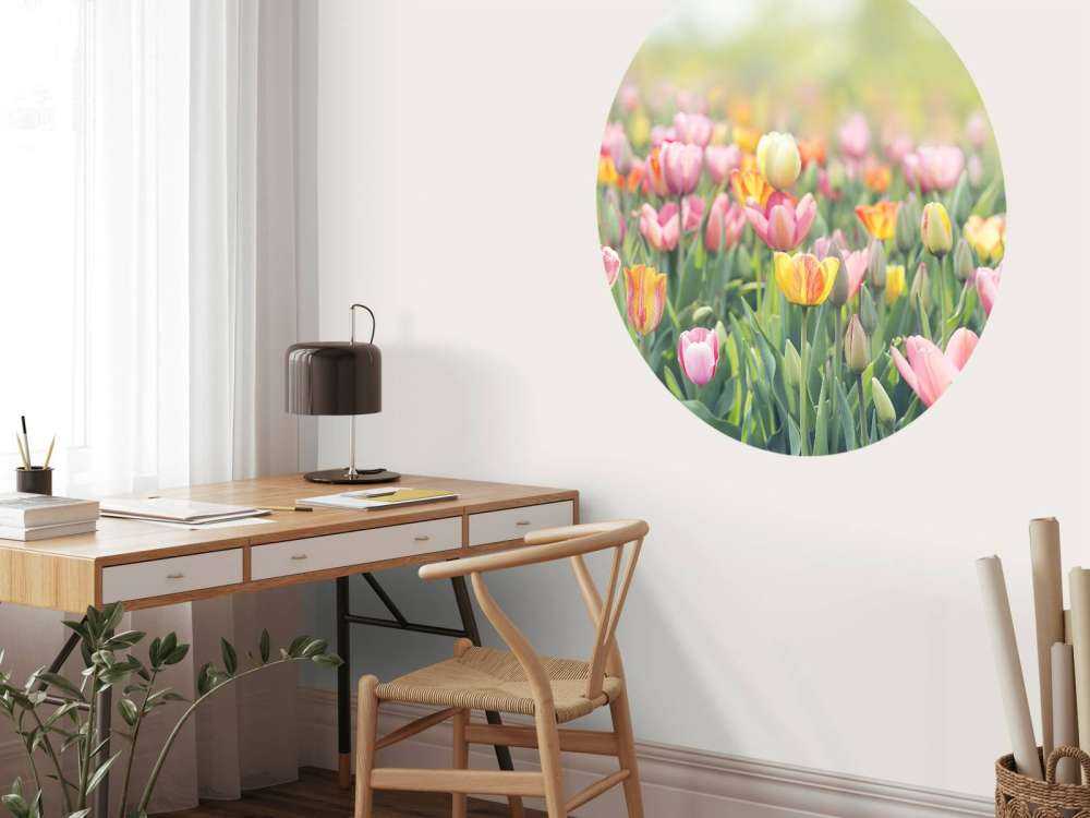 Tulipanes de colores