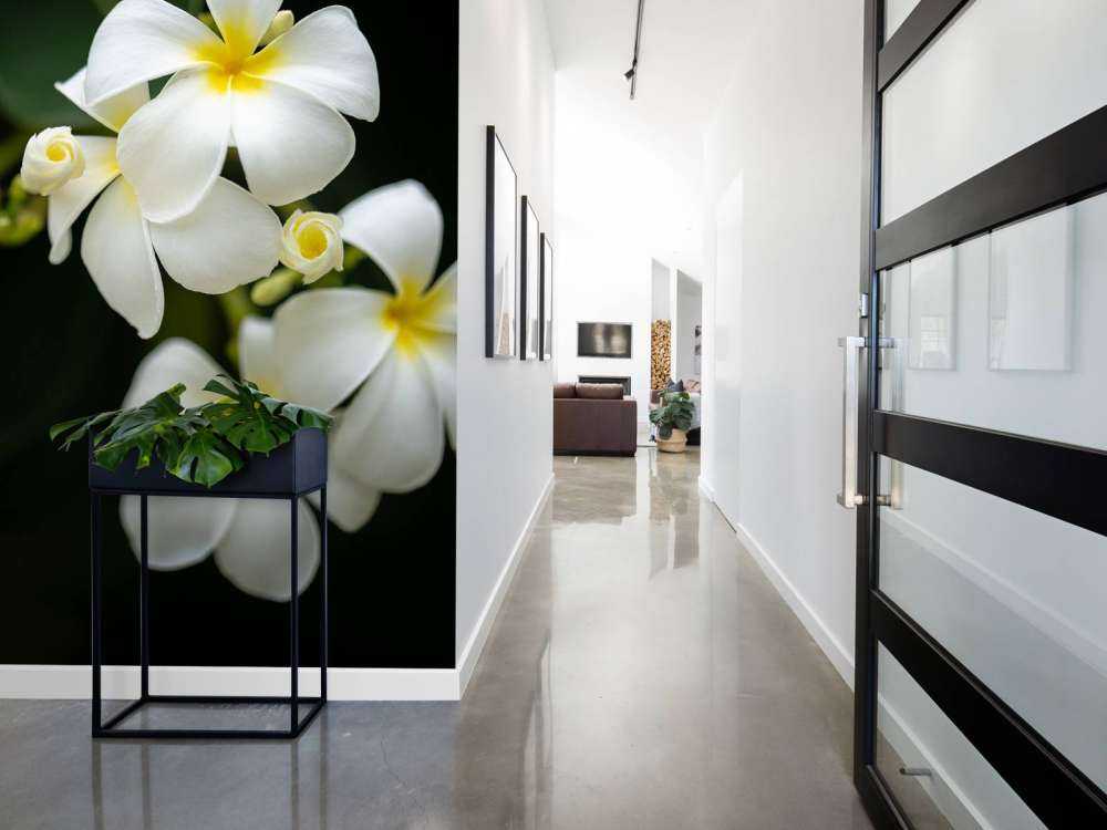 Primer plano de la Plumeria