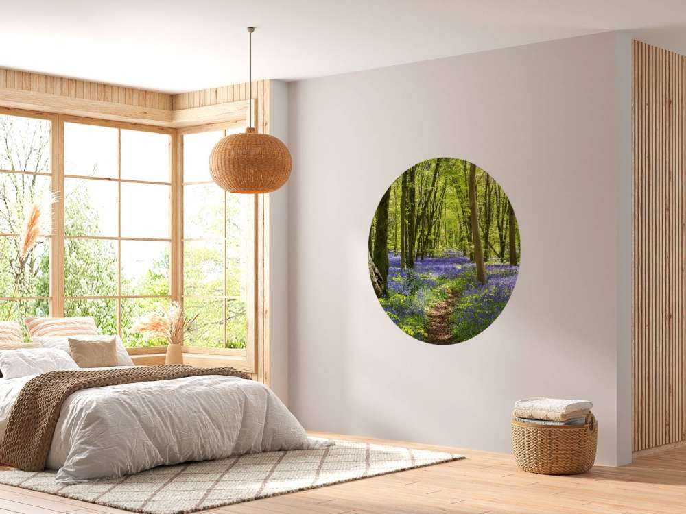 Bosque a la luz del sol