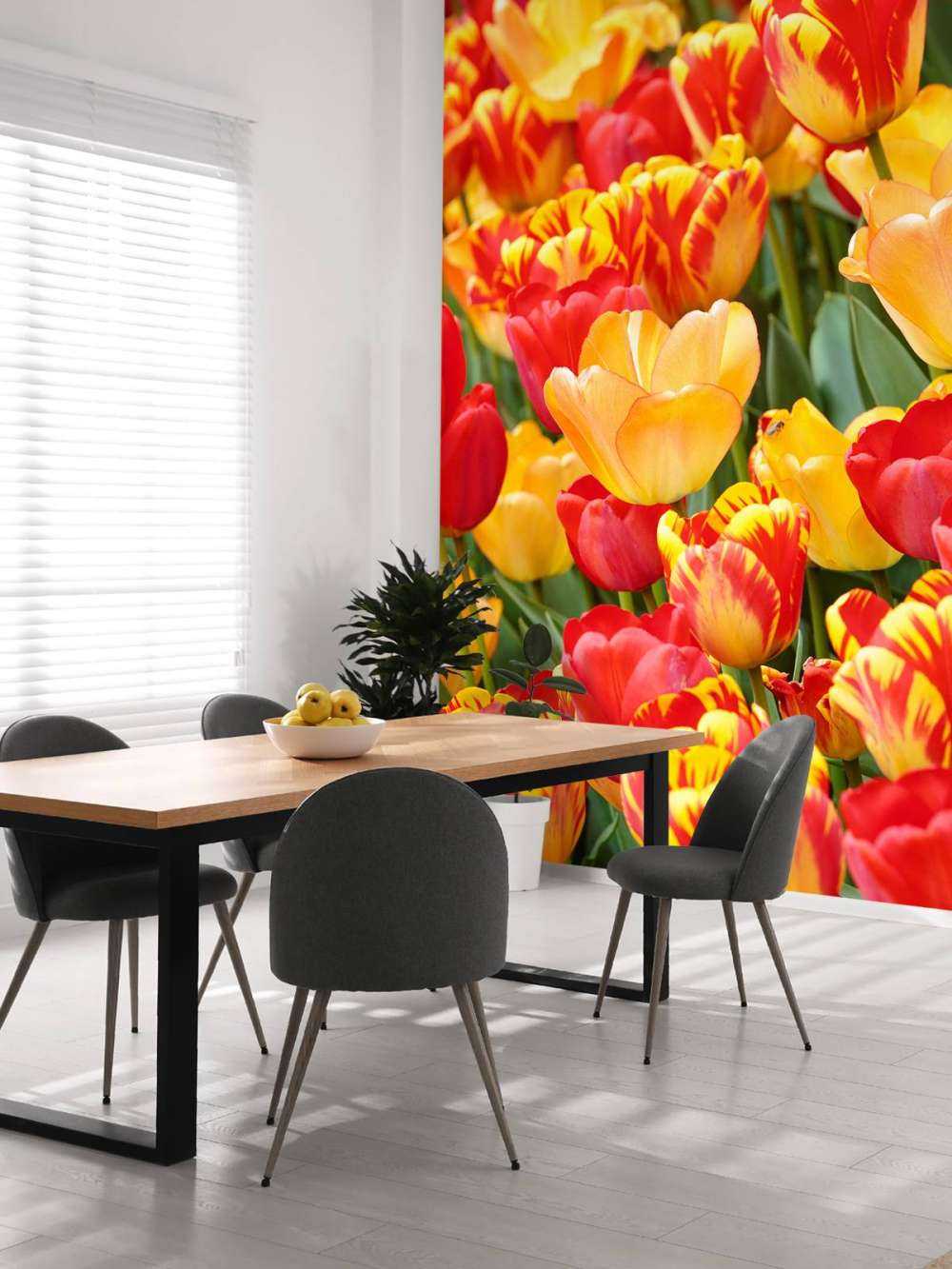 Tulipanes de colores