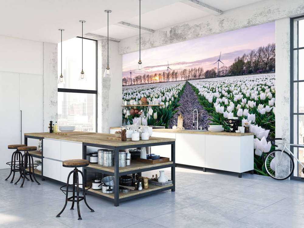 Tulipán blanco