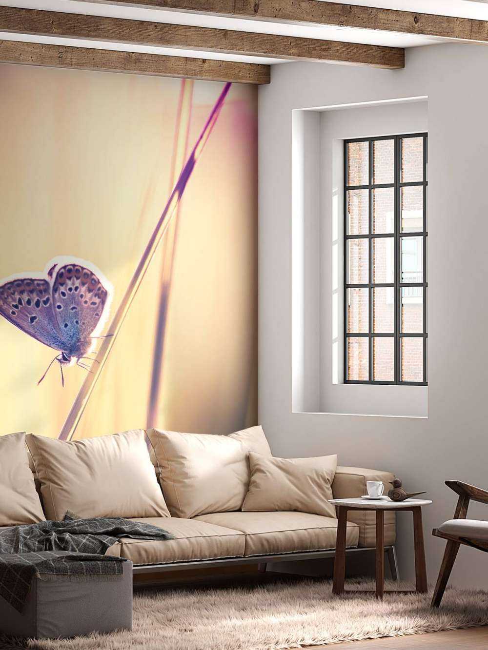 Mariposa de ensueño