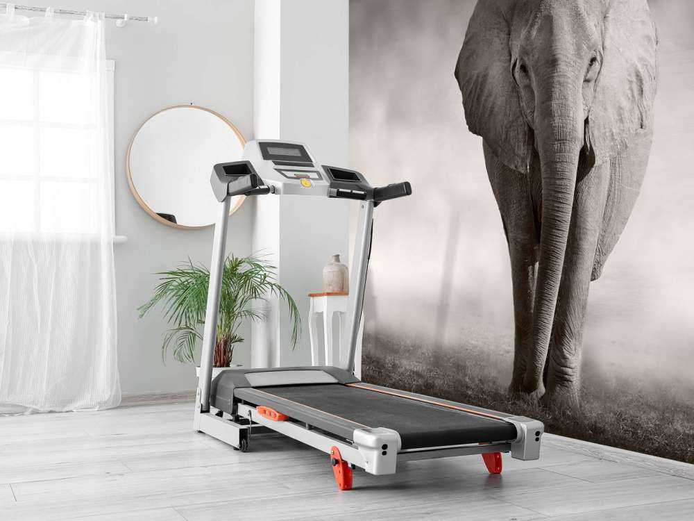 Hermoso elefante