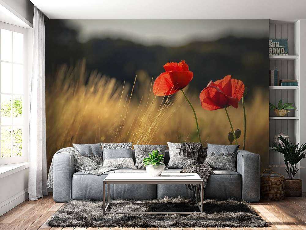 Amapolas en un campo de trigo