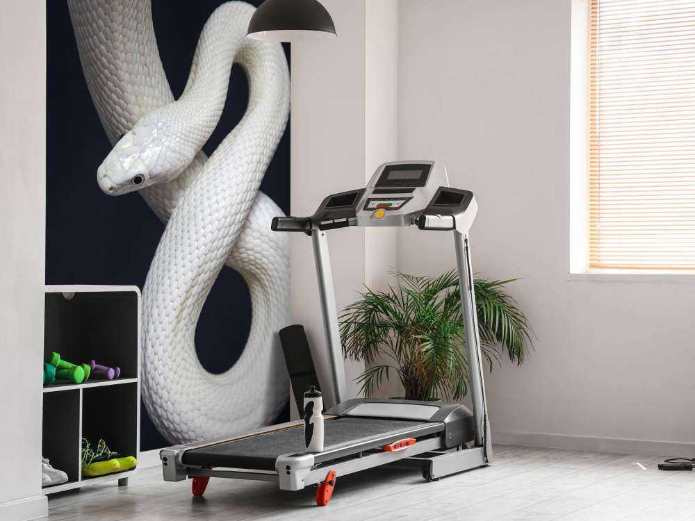 Serpiente de rata de Texas