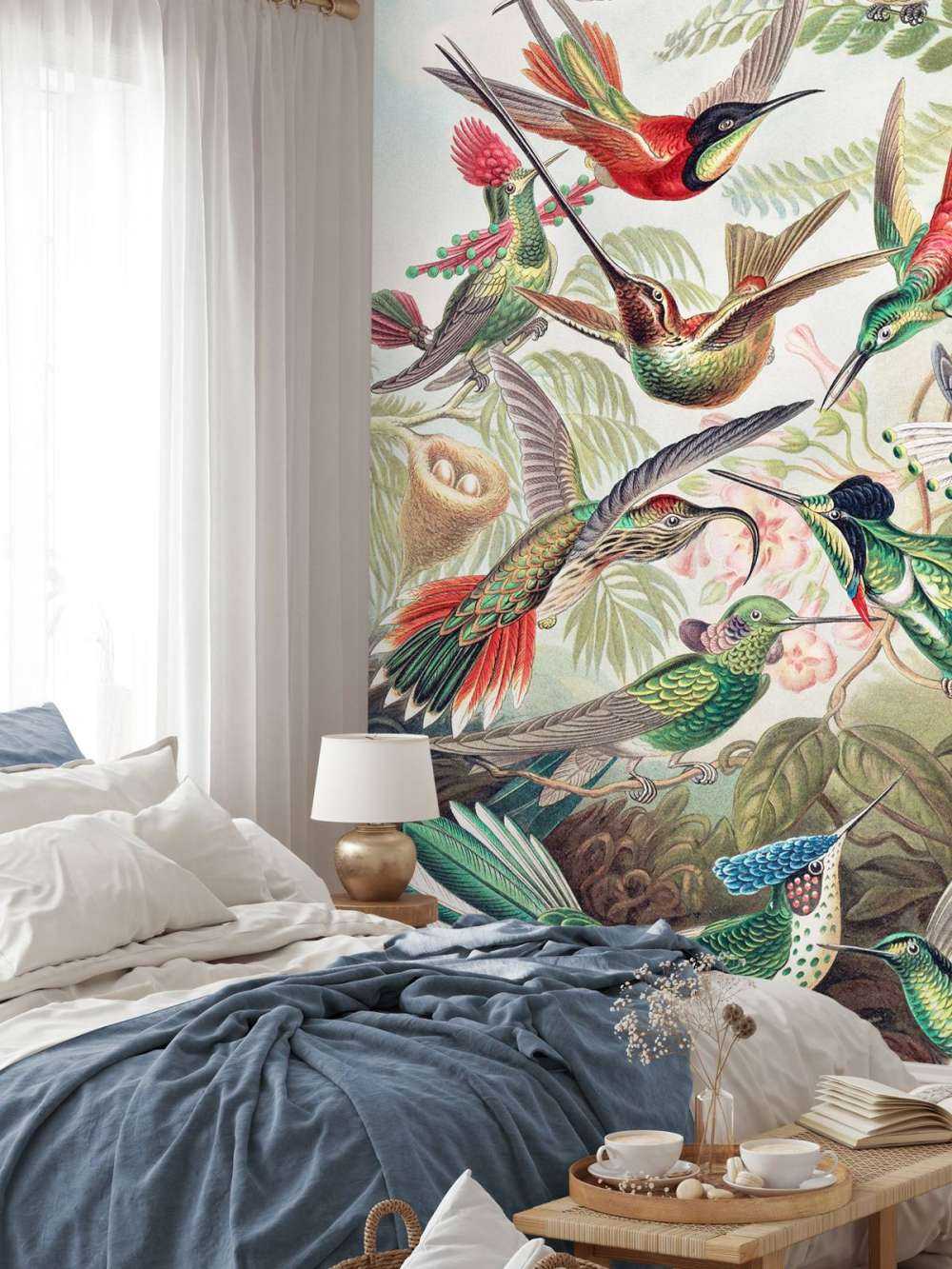 Hummingbirds