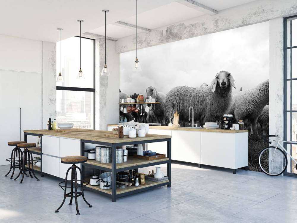 Rebaño de ovejas en blanco y negro