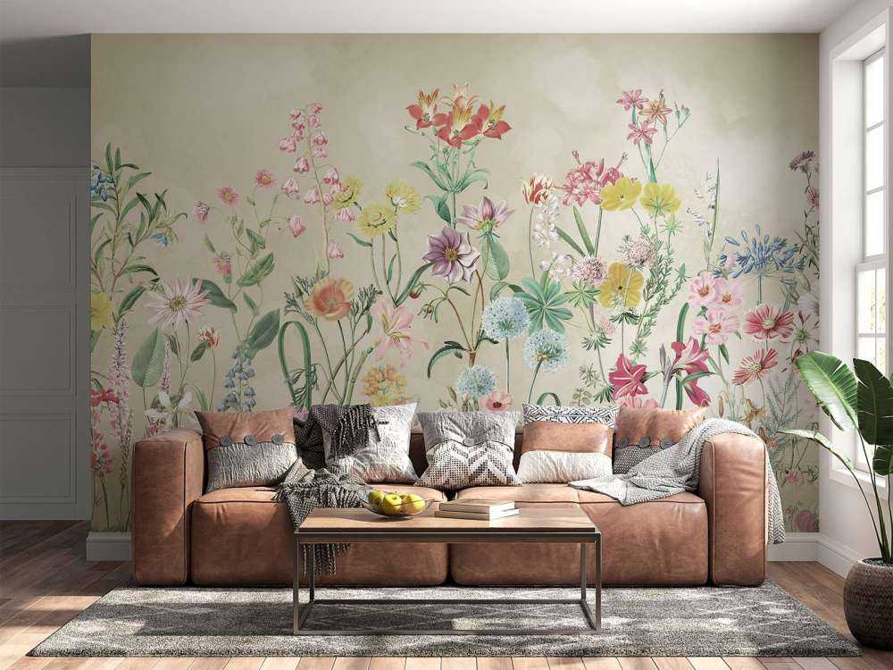 Primula 7
