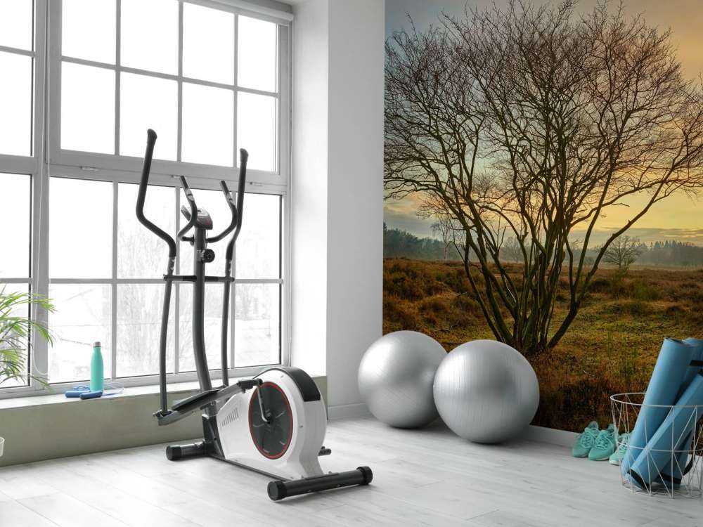 Amanecer en el páramo