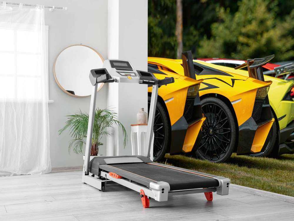 Colección de supercoches en la naturaleza