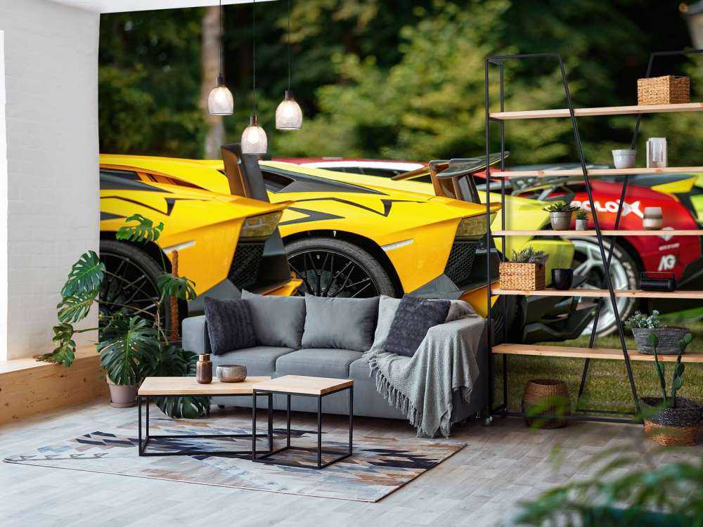 Colección de supercoches en la naturaleza