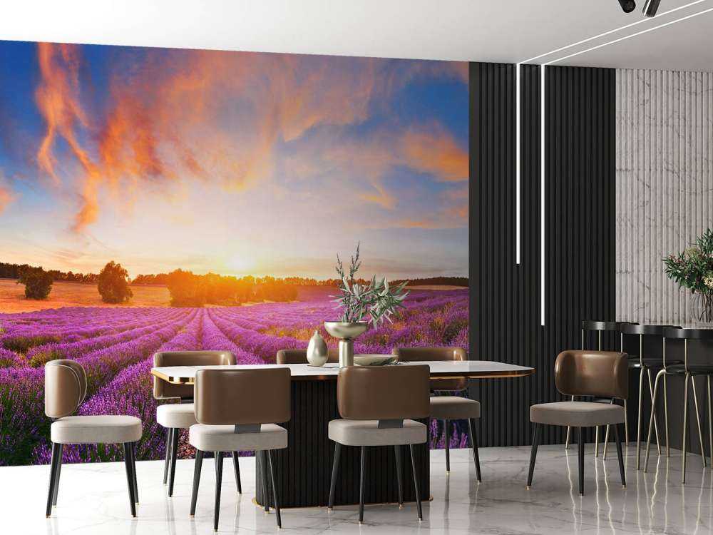 Campo de lavanda