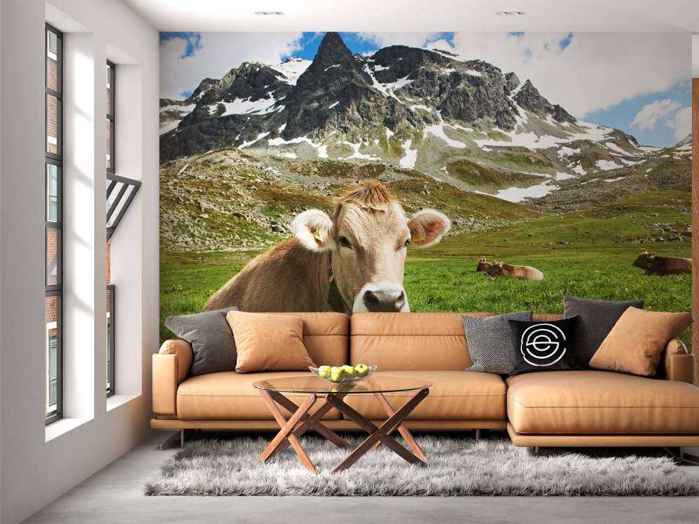 Vaca austriaca