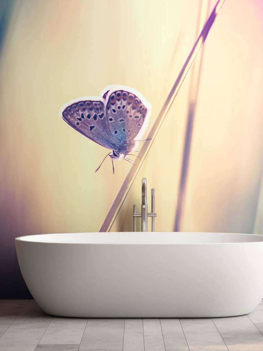 Mariposa de ensueño