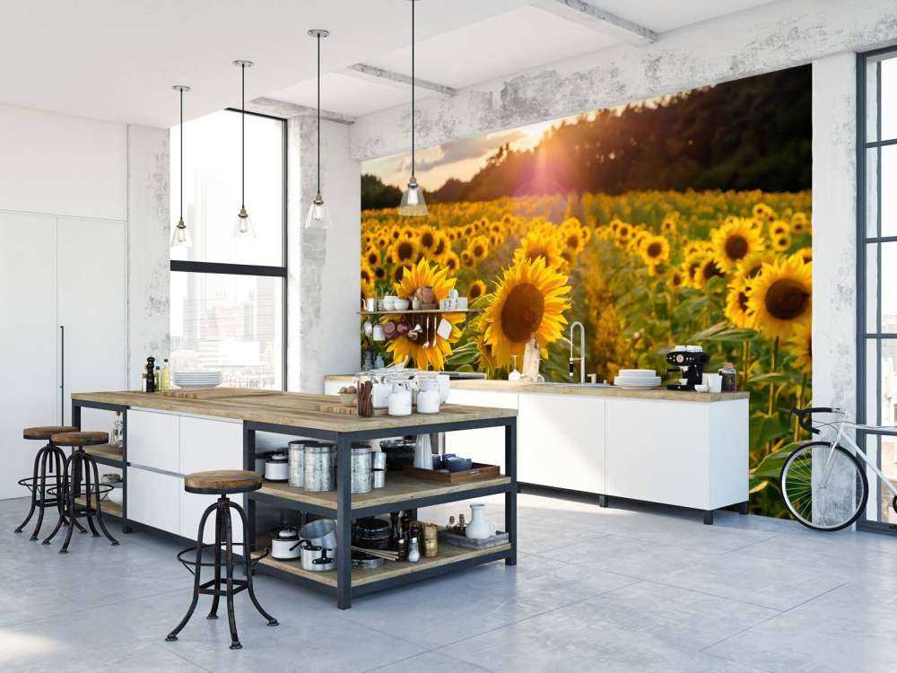 Granja de girasoles