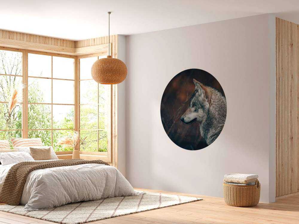 Lobo