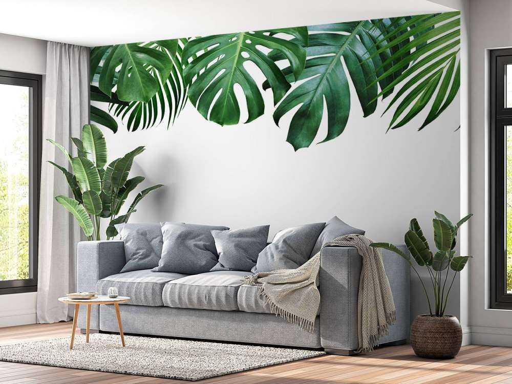 Plantas tropicales