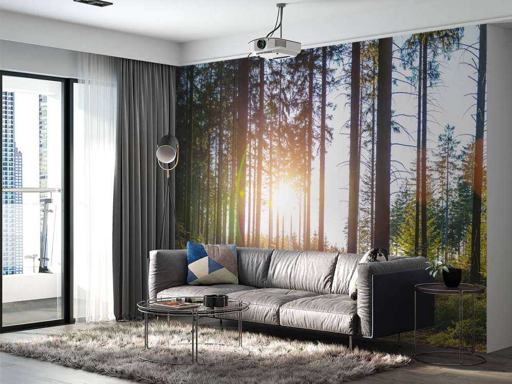 Bosque de primavera