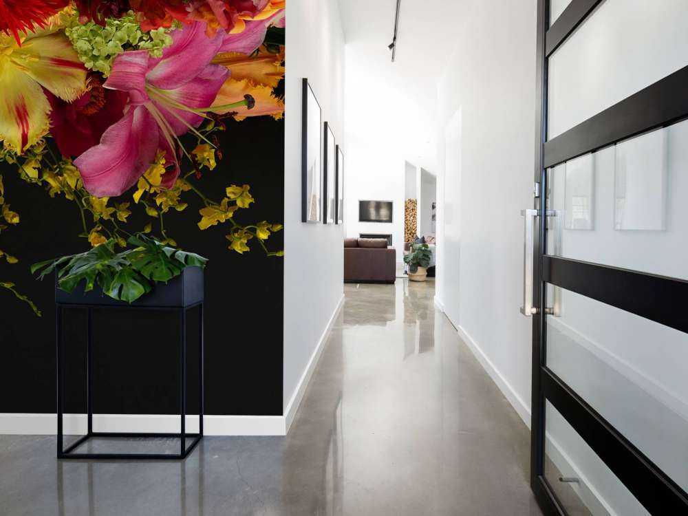 Flores de colores