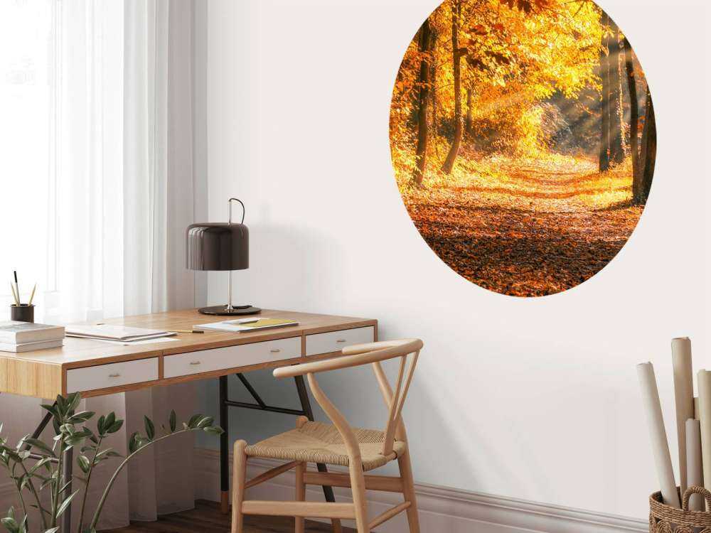 Panorama en otoño