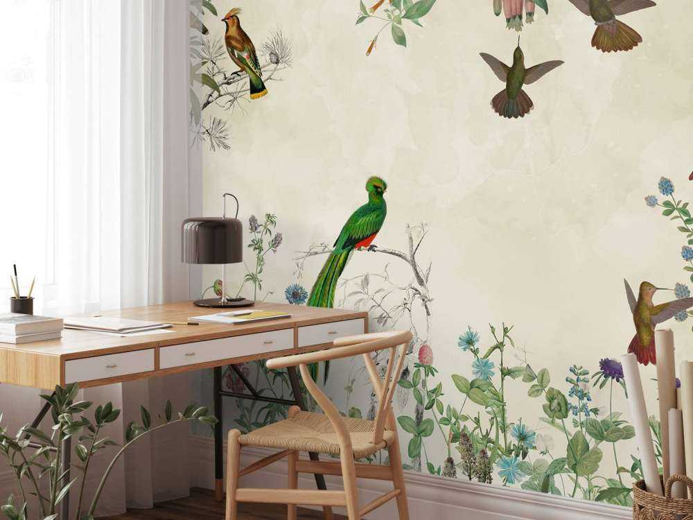 Campos de Aves Coloridas
